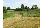 Property photo 2 - 63.5 +/- Acres Offered in 3 Tracts - Real Estate Auction